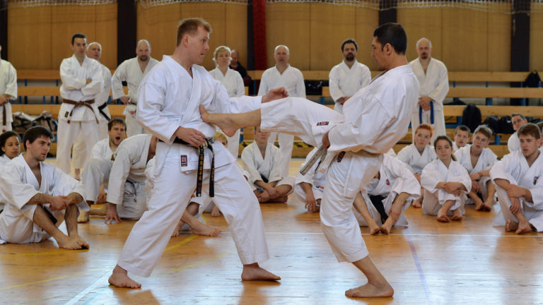 Fast is not slow…but faster: why training speed matters in Traditional Karate – Part II.