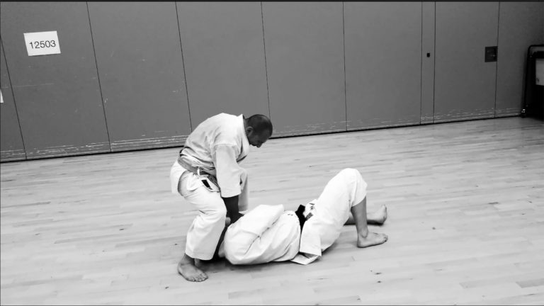 Ways to generate power in Karate – by Mario Kalli