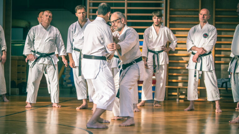 Fast is not slow…but faster: why training speed matters in Traditional Karate – Part I.