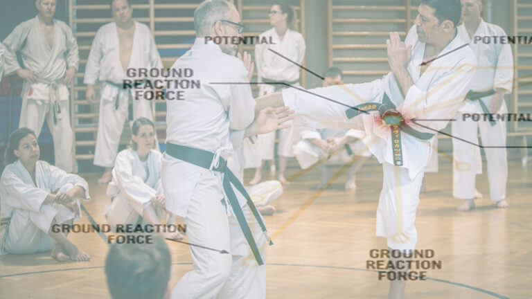 Beyond Force and Energy: From Mechanics to Mastery in the Nishiyama-Rokah Methodology