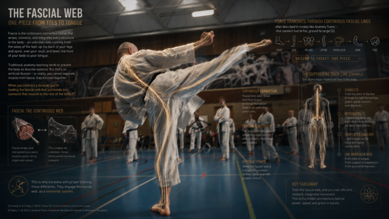 The Continuous Web: Understanding Fascial Training in Traditional Karate